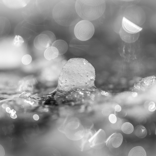 DSCF4064