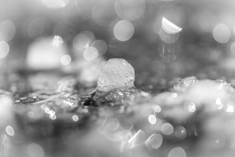 DSCF4064