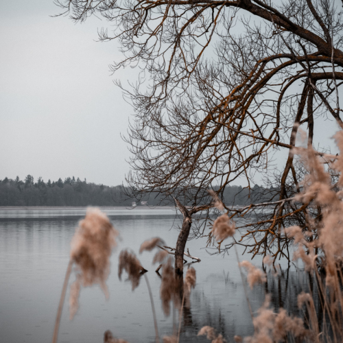 DSCF3675